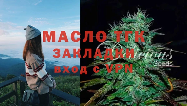 Альфа ПВП Бородино