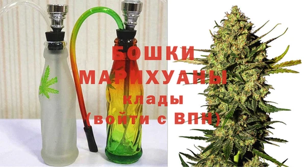 МДПВ Бронницы