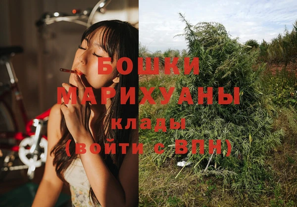 Альфа ПВП Бородино