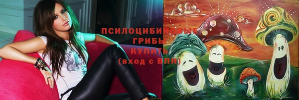 МДПВ Бронницы