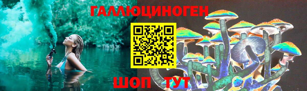 Псилоцибиновые грибы Psilocybe Гулькевичи